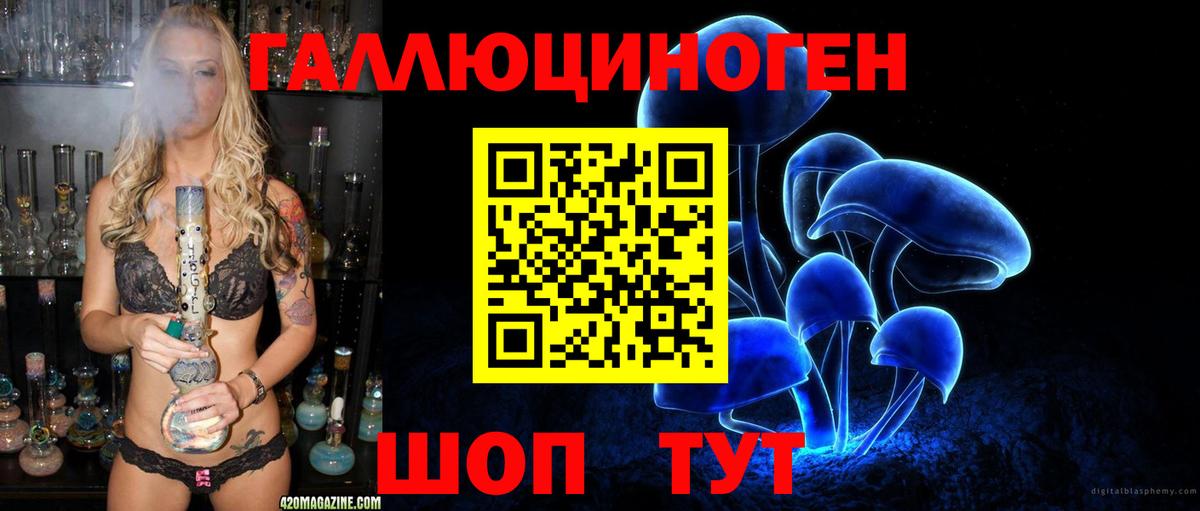 Галлюциногенные грибы Psilocybine cubensis Амурск