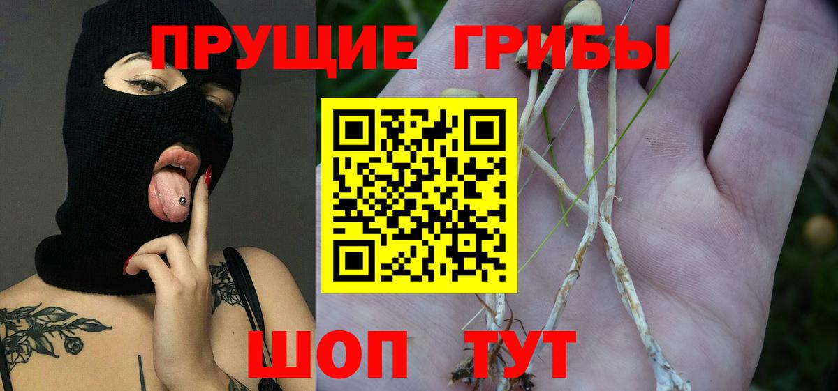 Псилоцибиновые грибы ЛСД  Псилоцибиновые грибы Psilocybine cubensis  Амурск  Вход с VPN 